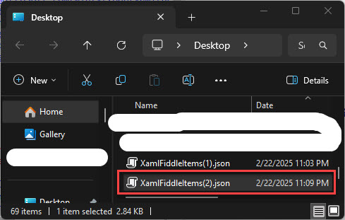 The Exported JSON File